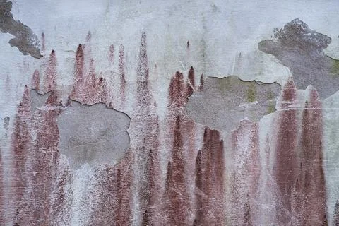 Old plaster wall Stock Photos