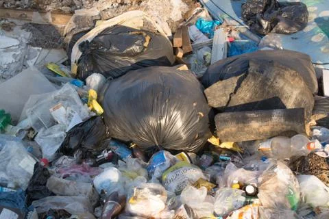 Old plastic garbage in forest Stock Photos