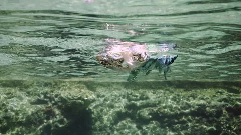 Old plastic packaging floats on surface of water along rocky shore in Mediterran Video stock 250961144