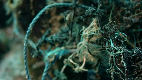 Old plastic ropes got caught in a coral reef, Indonesia Video stock 99521971