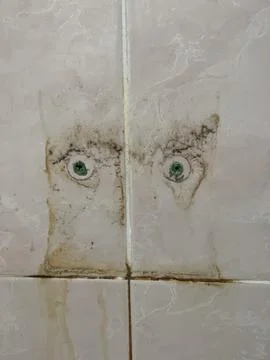 Old Plastic Wall Plugs And Dirty Stains On Ceramic Tiles 写真素材
