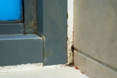 Old plastic window frame in the shower. Moldy angle, fungus. Problem areas sh Stock Photos