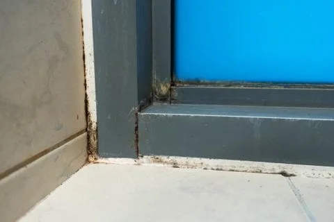 Old plastic window frame in the shower. Moldy angle, fungus. Problem areas sh Stock Photos