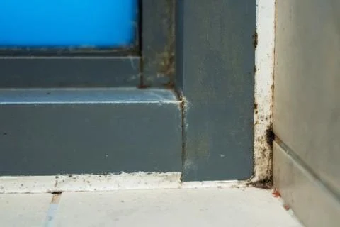 Old plastic window frame in the shower. Moldy angle, fungus. Problem areas sh Stock Photos
