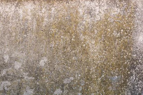Old platsred wall surface Stock Photos