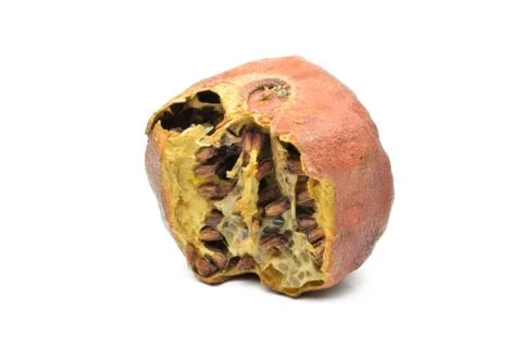 Old pomegranate Stock Photos