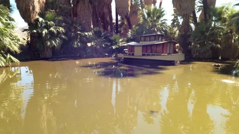 Old pond with boat Video stock 153299801