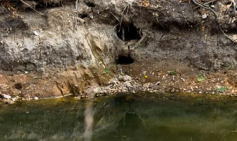 Old pond Stock Photos