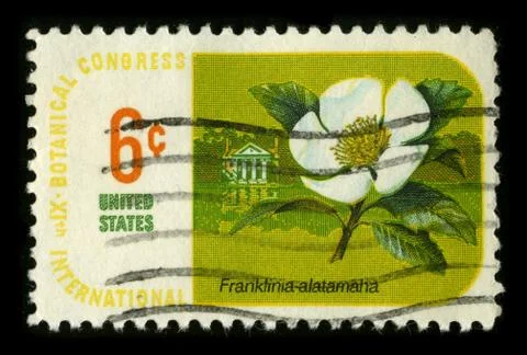 Old postage stamp on a black background. 스톡 사진