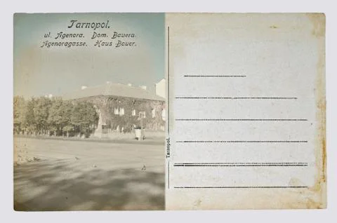 Old Postcard, on a gray background Stock Photos