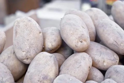 Old potatoes Stock Photos