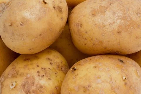 Old Potatoes Foto stock
