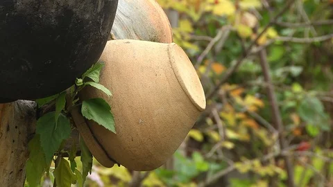 Old Pottery in the Garden Stock Footage 72437342