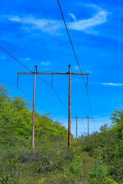 Old power line in the forest between trees in the mountains, Appalachian Tr.. Stock Photos