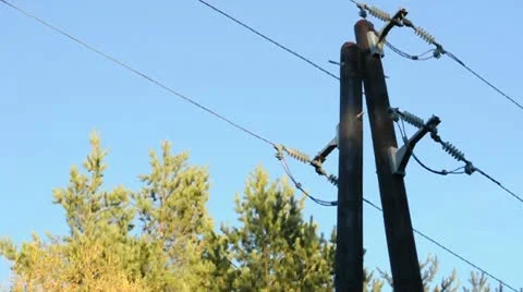 Old power pole, trees and sky background Stock Footage 10317941
