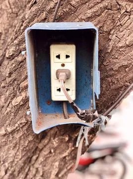 The Old Power Socket on the Tree Stock Photos