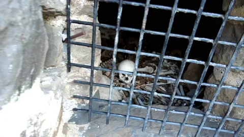 Old prison with skulls and bones behind bars Stock Footage 195199050