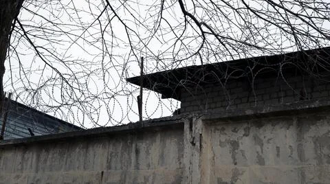 Old prison wall with barbed wire and bare branches against a gray sky in a .. Stock Photos