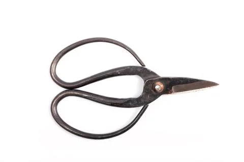 An old pruning scissors for bonsai isolated Stock Photos