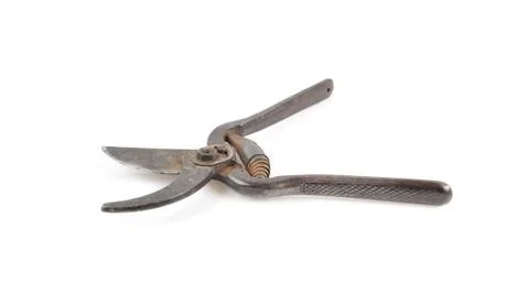 Old pruning shears isolated on white background. Stock Photos