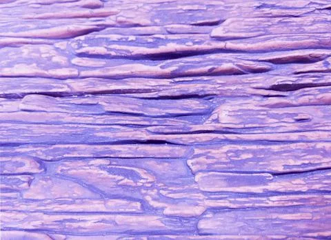 An old purple stone wall with a horizontal texture. Purple background.  Stock Photos