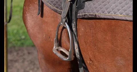 Old quality leather saddle ready for show jumping  event. Stock Footage 341733055