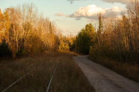 An old rail line through the forest lies next to the road Foto stock
