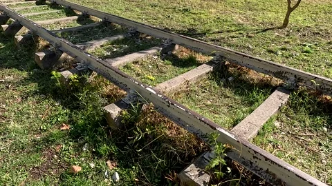 Old Railroad Bed Nature Stock Footage 339968736