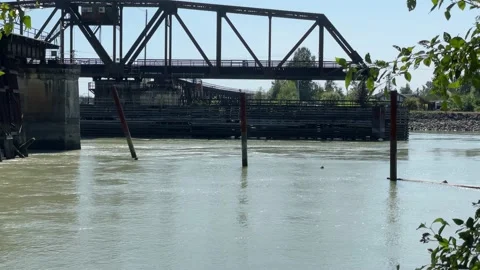 Old Railroad Bridge Stock Footage 172041463