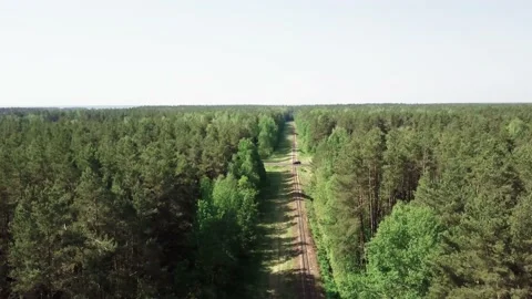 Old railroad tracks through the forest. Stock Footage 132268246