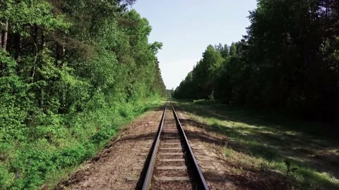 Old railroad tracks through the forest. Stock Footage 132268250