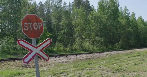 Old railroad tracks through the forest. Stock Footage 132268299