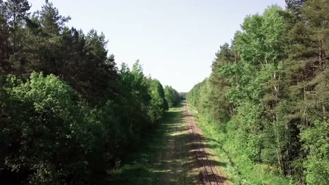 Old railroad tracks through the forest. Stock Footage 132268309