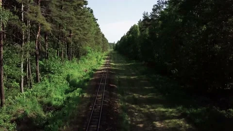 Old railroad tracks through the forest. Video stock 132268392