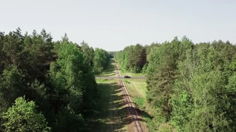Old railroad tracks through the forest. Stock Footage 132268652