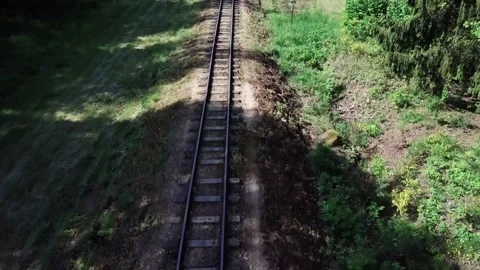 Old railroad tracks through the forest. Stock Footage 132268749