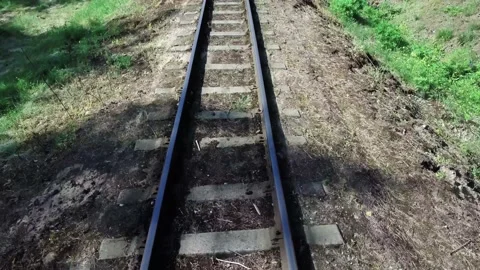 Old railroad tracks through the forest. Stock Footage 132268801