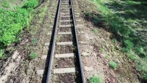 Old railroad tracks through the forest. Video stock 132268930