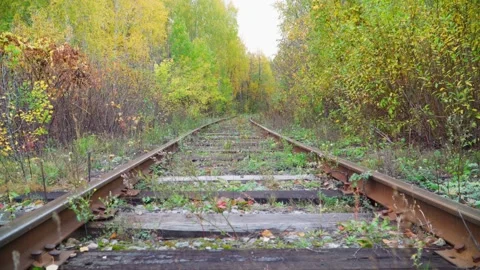 Old railway in the autumn forest. Rusty rails, rotten wooden sleepers. Stock Footage 252138341