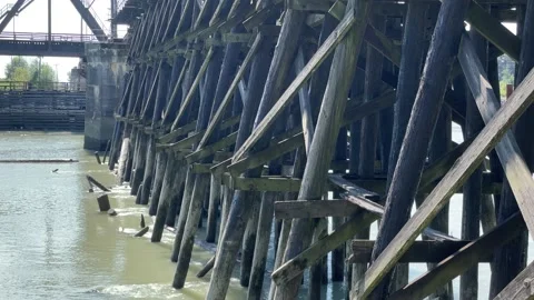 Old Railway Bridge Stock Footage 172041461