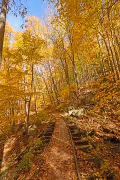 Old Railway in the Fall Forest Photos