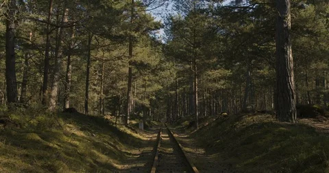 A old railway line between trees. Stock Footage 114764183