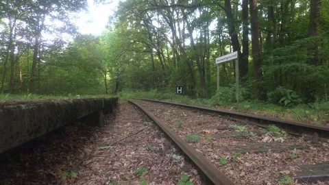 Old Railway Platform and Tracks in Amselgrund, Saxony, Germany Stock Footage 345255326