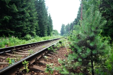 Old railway through forest Stock Photos