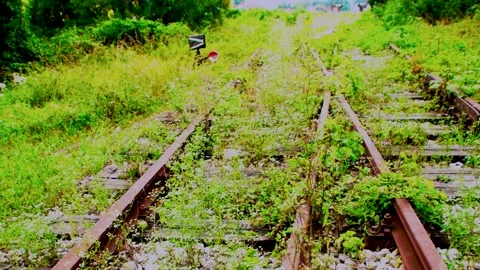 Old railway track 3 Stock Footage 278320374