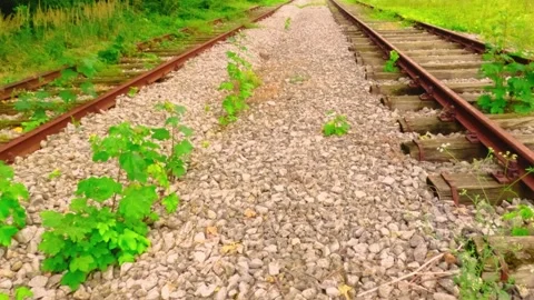 Old railway track Stock Footage 278320337