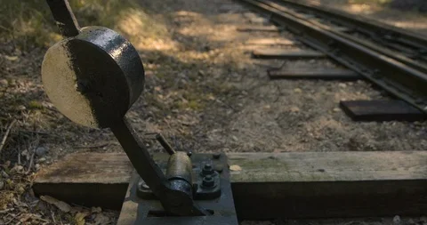 Old railway tracks in the forest. 動画素材 114766397