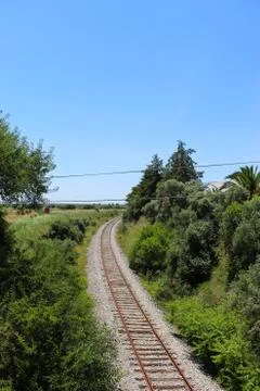 Old railway with trees on the side. Stock Photos