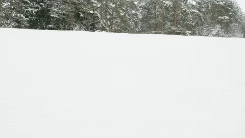 Old railway in winter forest Stock Footage 101589459