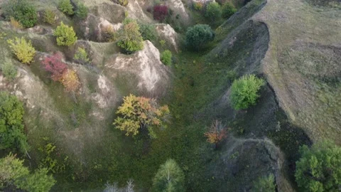 Old ravine background. Video stock 221912700